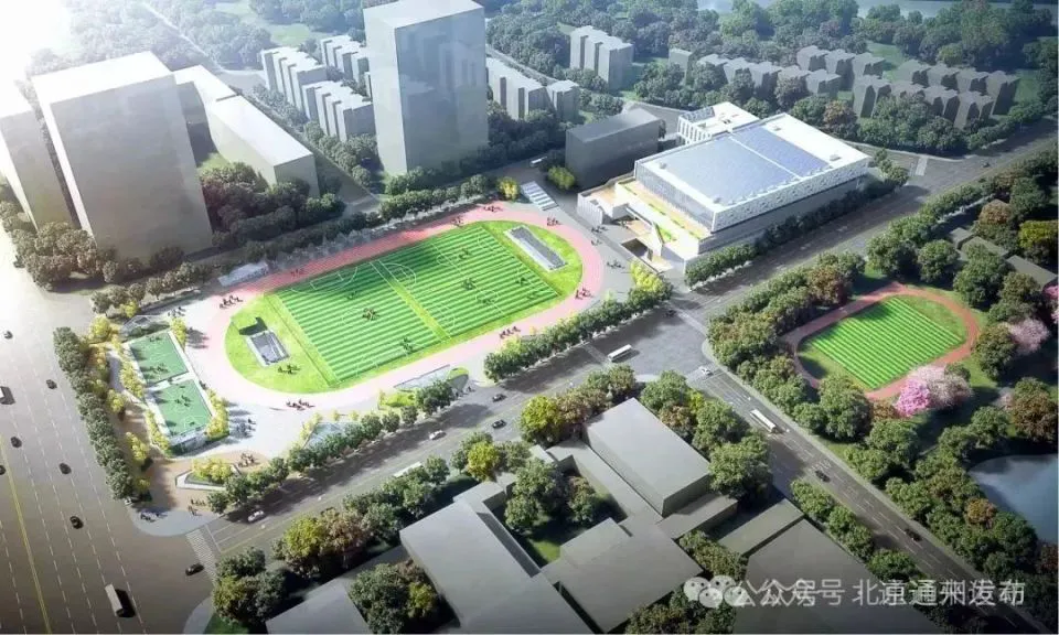 为什么心理条件对篮球运动员的成长很重要_0